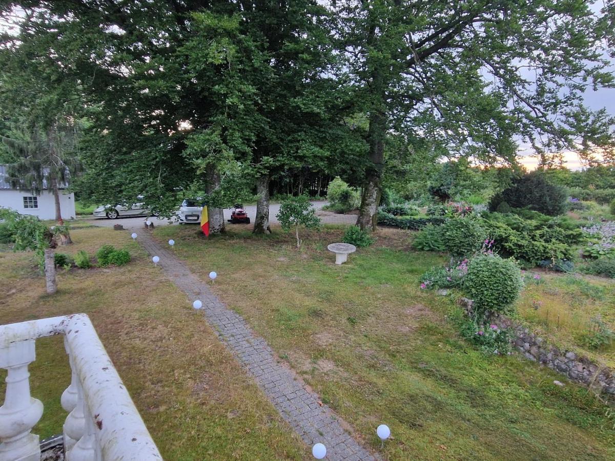 Trandafir Guesthouse Эгтвед Экстерьер фото