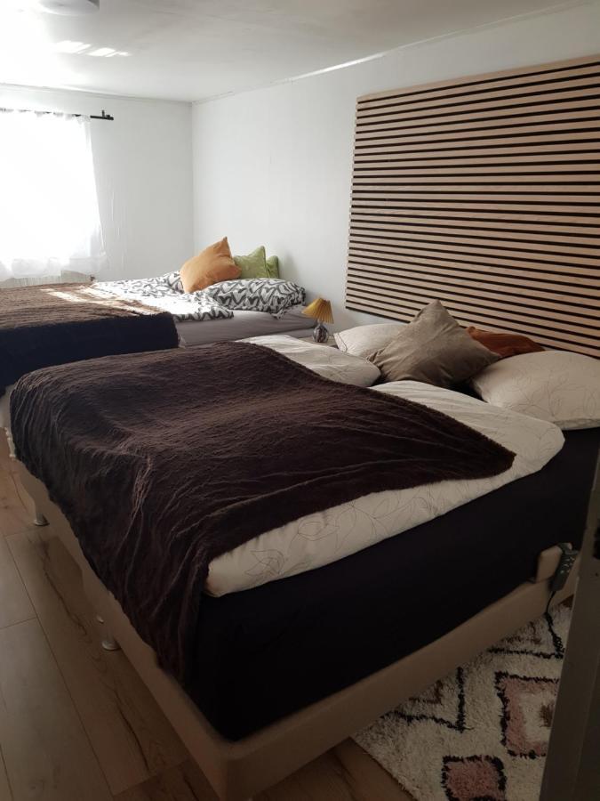 Trandafir Guesthouse Эгтвед Экстерьер фото